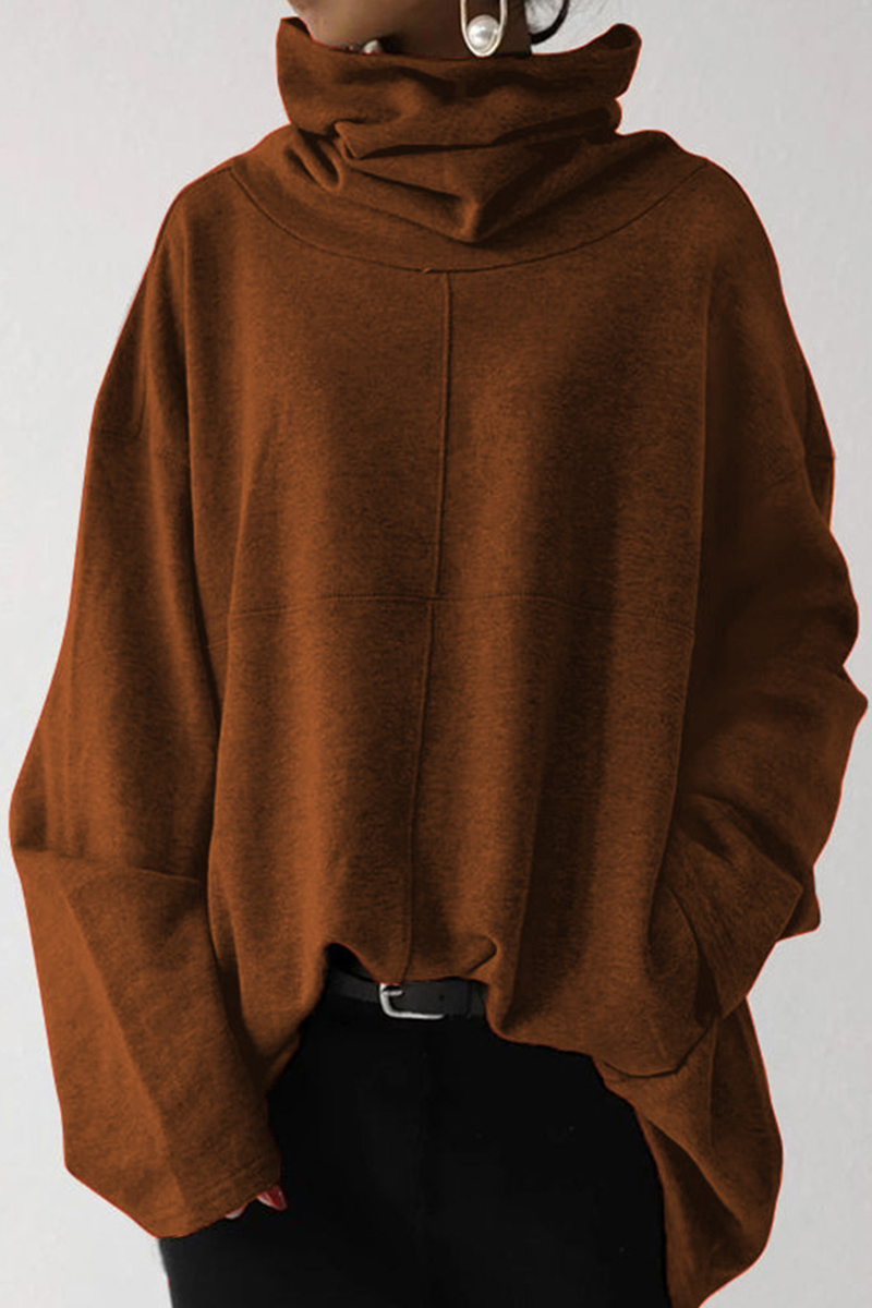 Women's Plain Streetwear Oversized Hoodie | Winter