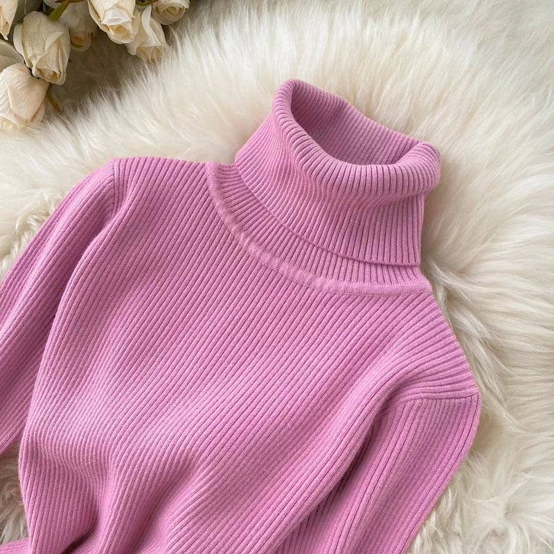 Women's Maxi Turtleneck Ribbed Sweater Dress | Winter