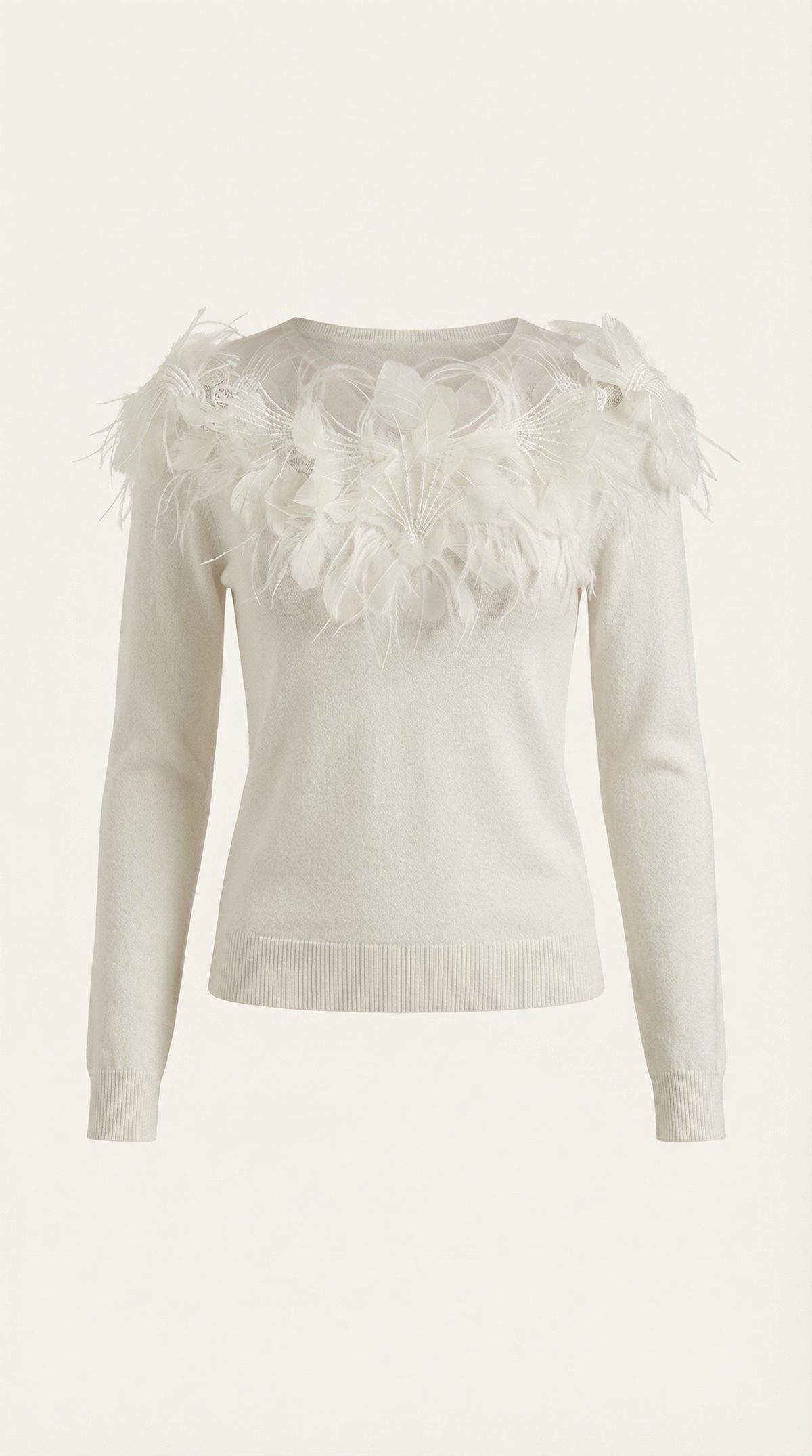 Women's Chic Crew Neck Jumper | Feather Detail